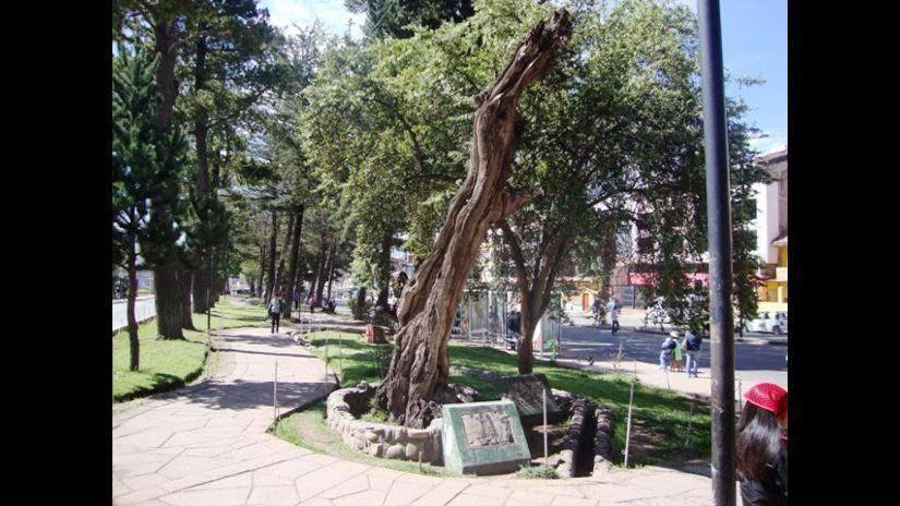 Brizio Guest House Cusco Dış mekan fotoğraf
